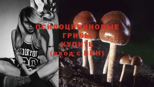 спайс Белокуриха