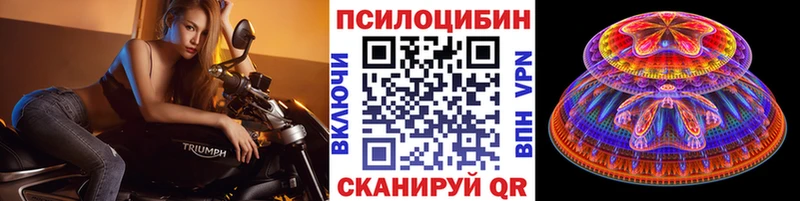 Псилоцибиновые грибы MAGIC MUSHROOMS где можно купить наркотик Кушва