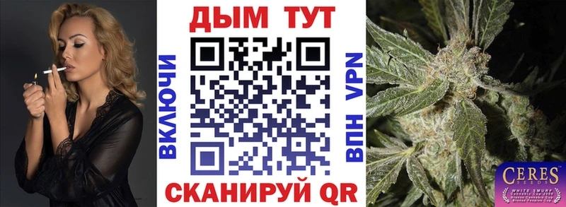 как найти наркотики  Кушва  Конопля планчик 